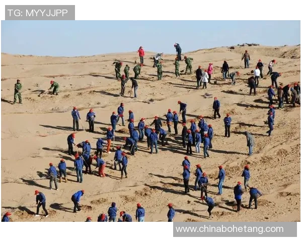 代怀博的成长之路与未来发展展望:从新星到行业领军者的蜕变之旅 代怀博的成长之路与未来发展展望:从新星到行业领军者的蜕变之旅